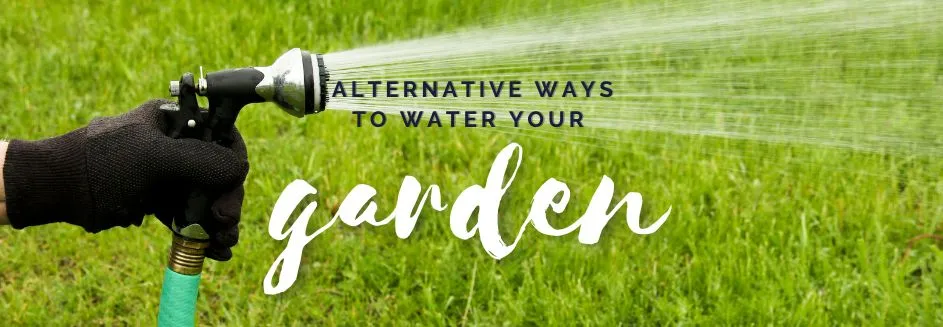 alternative ways to water your garden